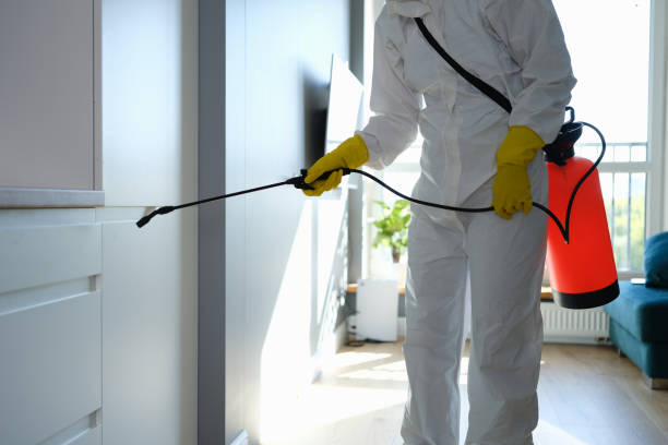 Best HVAC Mold Remediation in Cannon Af, NM
